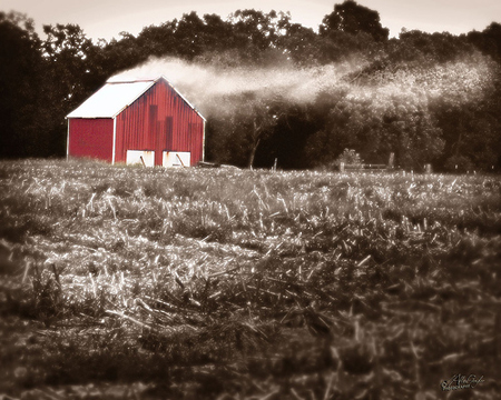tobaccobarn